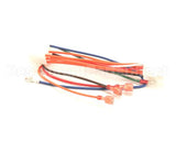 1065750SP Frymaster Harness Assembly, Re Fv Controls