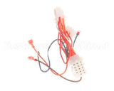 1065751SP Frymaster Harness Assembly, Re Dv Controls