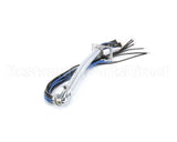 1066036SP Frymaster Harness Assembly, Re Rh Element