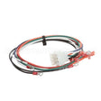 1067668 Compatible Frymaster Harness, Xfrm/Filter #2 Scf
