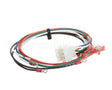 1067668 Frymaster Harness, Xfrm/Filter #2 Scf