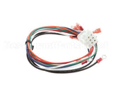 1067668 Frymaster Harness, Xfrm/Filter #2 Scf