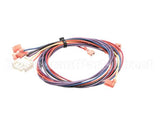 1068425 Frymaster Wire Assembly,Temp Control To Interf