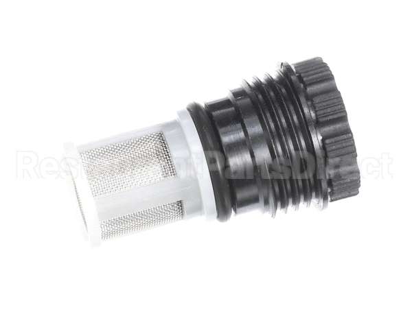 107000317 Rinnai Water Supply Filter Assy.