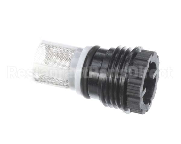 107000317 Rinnai Water Supply Filter Assy.