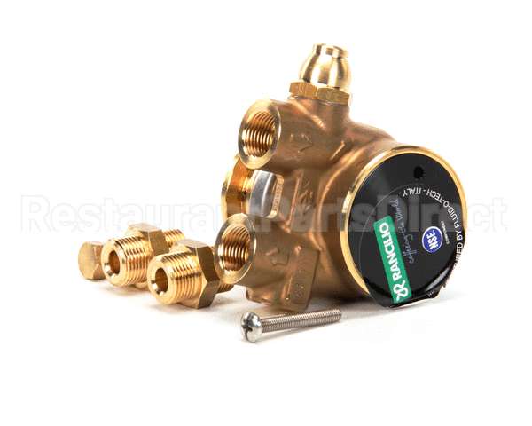 10705960 Rancilio Kit Pumping Element