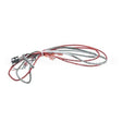 1080656 Compatible Frymaster Ais Rtd Probe And Harness Pos1