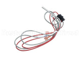1080656 Frymaster Ais Rtd Probe And Harness Pos1