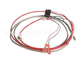 1080658 Frymaster Harness,Gl30 Aif/Locator P4 Fv