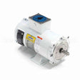 108226 Leeson Motor