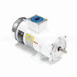 108231 Leeson Motor