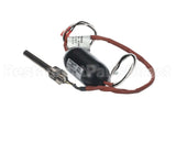 1085578SP Frymaster Sensor Assembly, Oil 100V