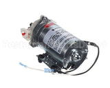 1085673 Frymaster Pump Assembly,Shurflo Ato Ce