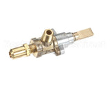 1086589 Garland Valve Nat