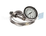 109499 Champion - Moyer Diebel Thermometer Flanged 12 Ft