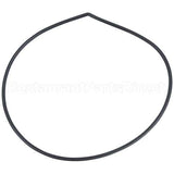 109653 Compatible Champion O-Ring - Pump
