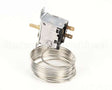 11-0476-21 Scotsman Thermostat