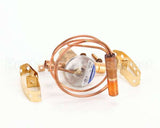 11-0488-21 Scotsman Thermo Exp Valve