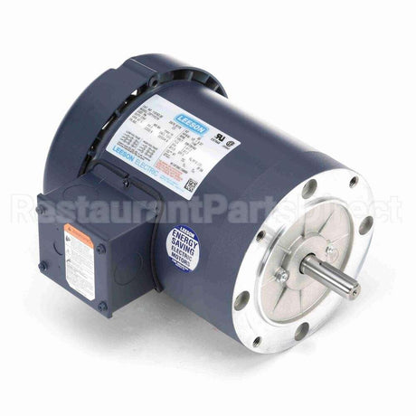 110163 Leeson Motor