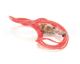 110548110 Doughpro Proluxe Sensor,Rtd 100 Ohm Mfg Per, Dr