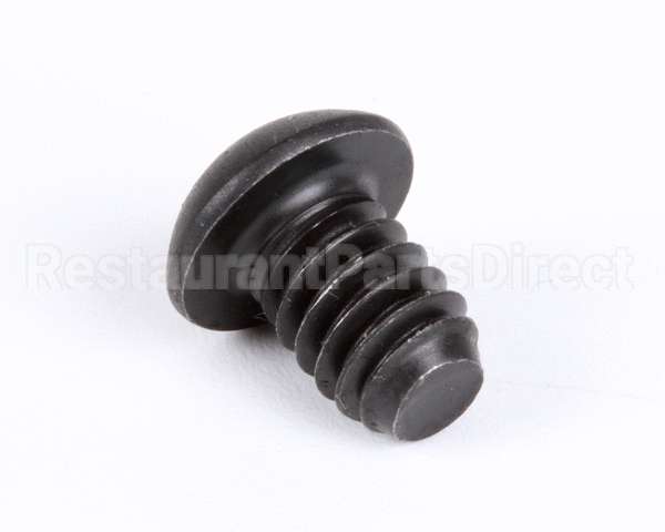 1107 Globe Roller Retaining Screw