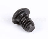 1107 Globe Roller Retaining Screw