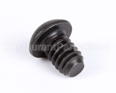 1107 Globe Roller Retaining Screw