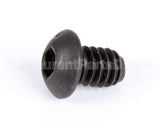 1107 Globe Roller Retaining Screw