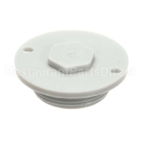 110755 Compatible Champion Drainplug, Ng