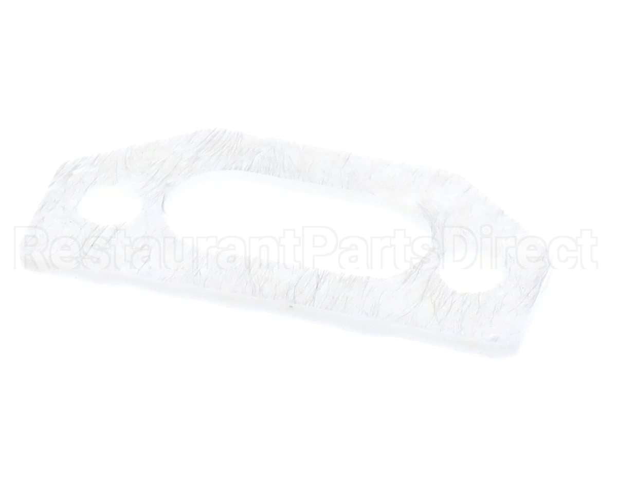 111791 Pvi Ignitor Gasket