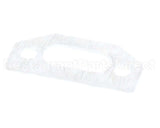 111791 Pvi Ignitor Gasket
