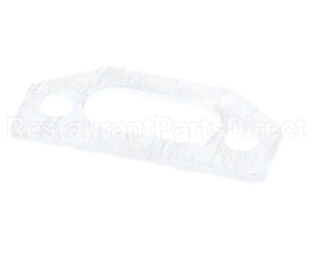 111791 Pvi Ignitor Gasket
