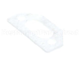 111791 Pvi Ignitor Gasket