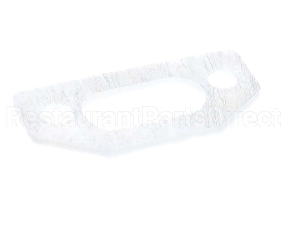 111791 Pvi Ignitor Gasket