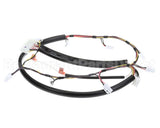 1123050 Sandenvendo Harnessmotor8 Colv21Rohs