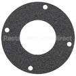 112338 Compatible Champion Gasket, Pump