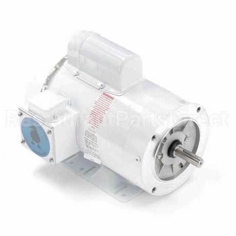 113300 Leeson Motor