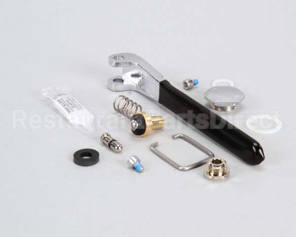 11355 Fisher Repair Kit Spray Valve Brs