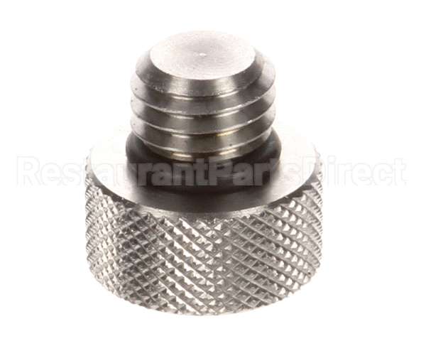 113555 Champion - Moyer Diebel Plug E Washarm Cleanout