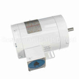 113590 Leeson Motor