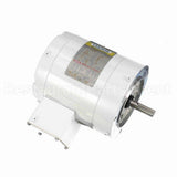 113649 Leeson Motor