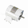 113649 Leeson Motor