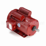 113938 Leeson Motor