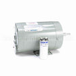 113939 Leeson Motor