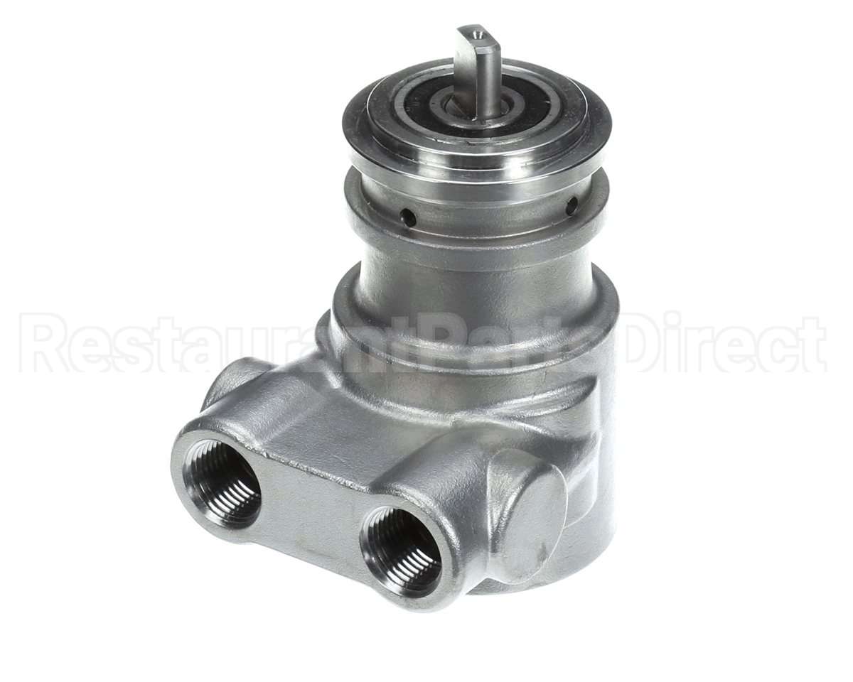 113A100F31XX Multiplex Carb Pump Ss 100 Gph No Strain