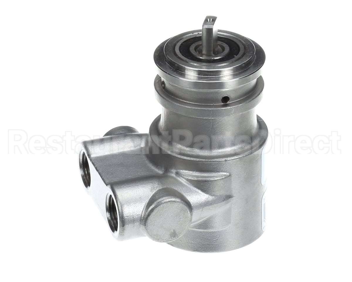 113A100F31XX Multiplex Carb Pump Ss 100 Gph No Strain