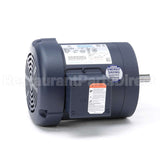 114891 Leeson Motor
