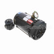 116183 Leeson Motor
