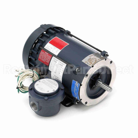116191 Leeson Motor