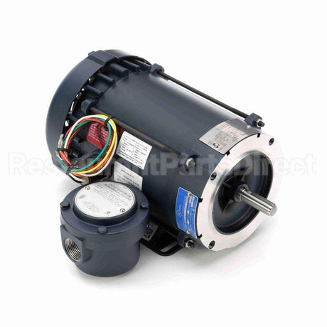 116605 Leeson Motor